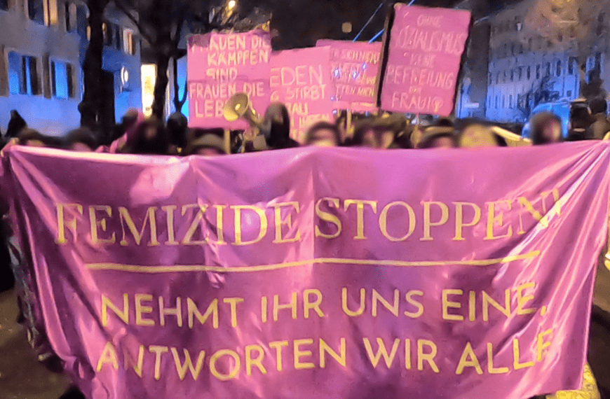 le2511 Demo gegen Gewalt an Frauen Patriarchat zerschlagen